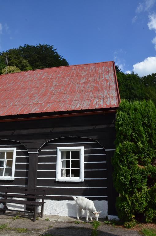 Penzion U Kozy Chribska Exterior photo