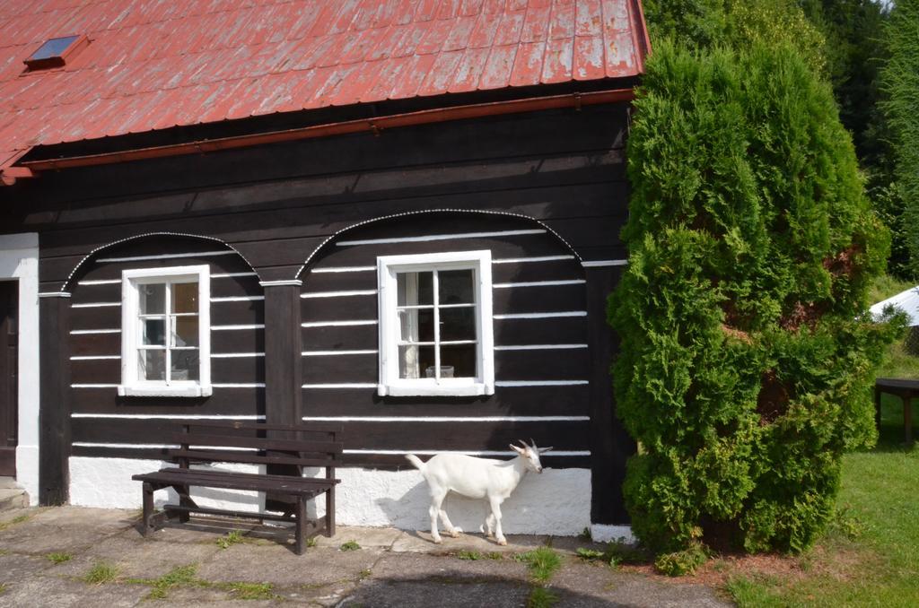Penzion U Kozy Chribska Exterior photo